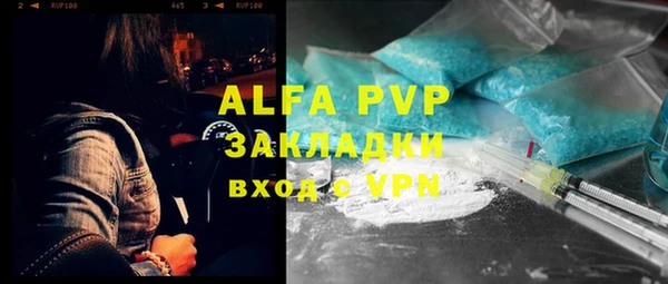 стафф Алзамай