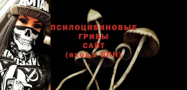 гашик Алексин
