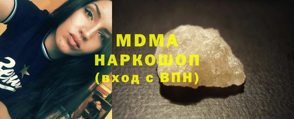 гашик Алексин