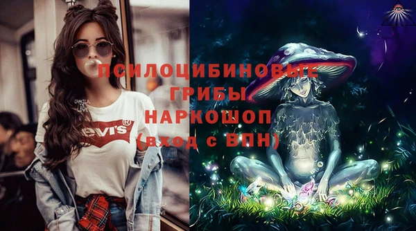 стафф Алзамай