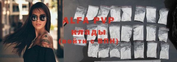 гашик Алексин