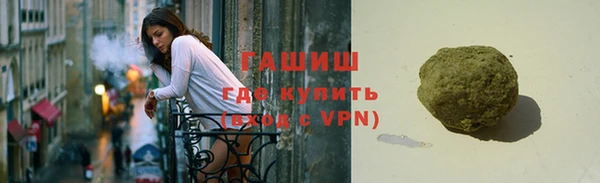 гашик Алексин